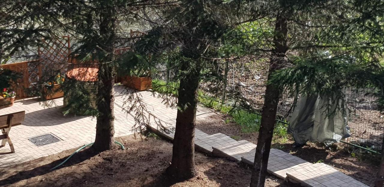 Villa Sezatoarea Lupilor Lepşa Exterior foto
