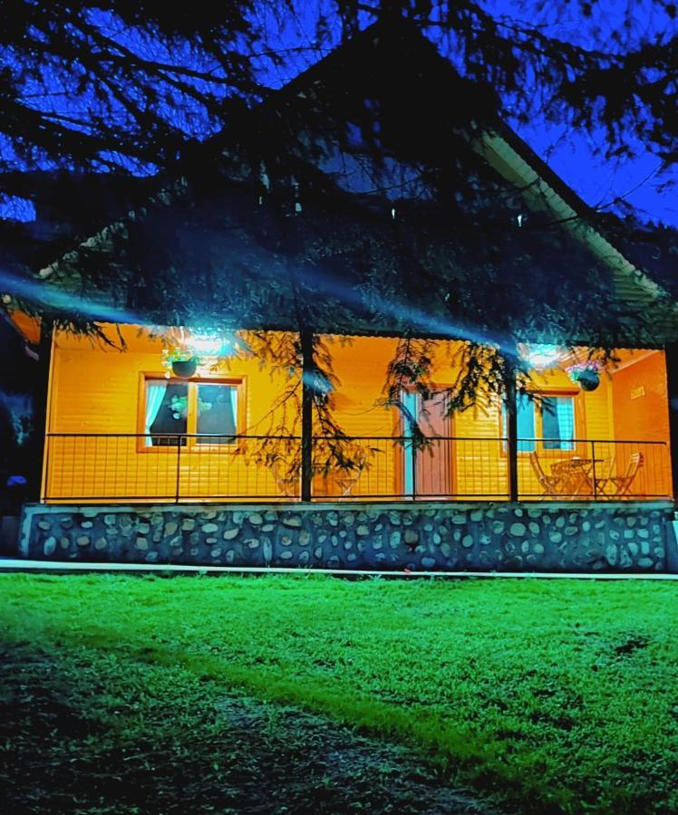 Villa Sezatoarea Lupilor Lepşa Exterior foto