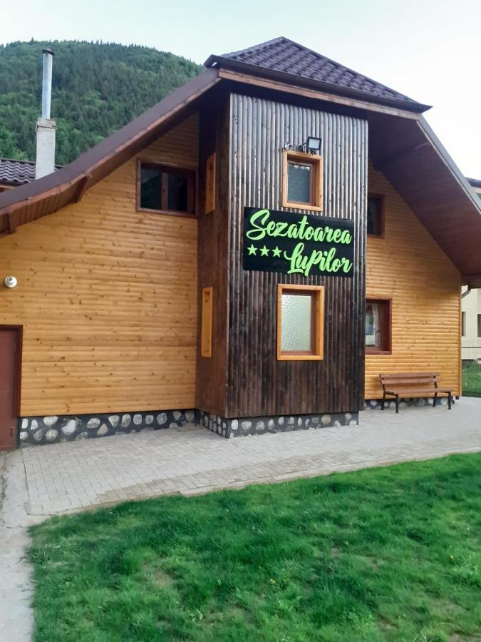Villa Sezatoarea Lupilor Lepşa Exterior foto