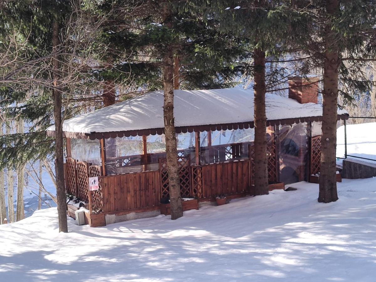 Villa Sezatoarea Lupilor Lepşa Exterior foto