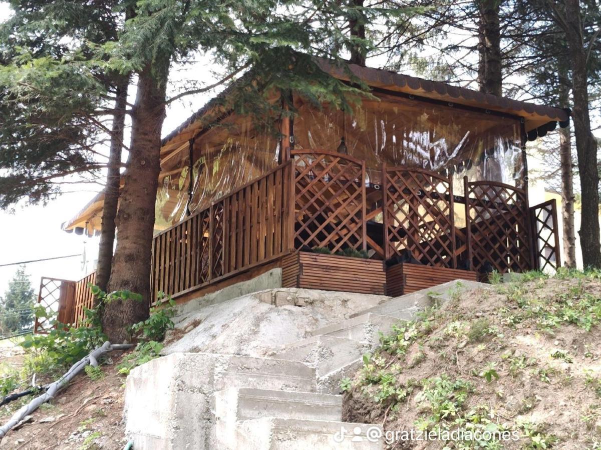 Villa Sezatoarea Lupilor Lepşa Exterior foto