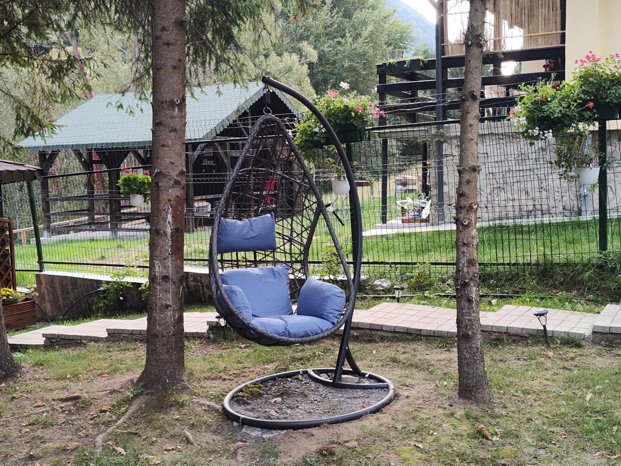 Villa Sezatoarea Lupilor Lepşa Exterior foto